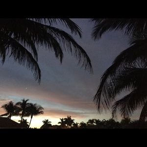 Meet your Posher, Carolina